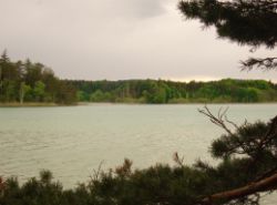2013-05-19_Iffeldorf_Aiderbichl (91).JPG